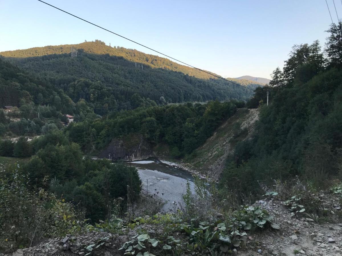 Casutele Doftanei Apartment Tesila Bagian luar foto