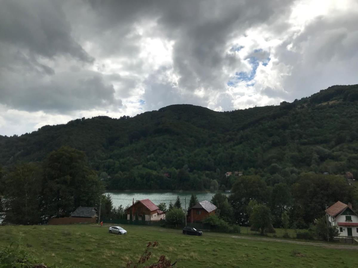 Casutele Doftanei Apartment Tesila Bagian luar foto