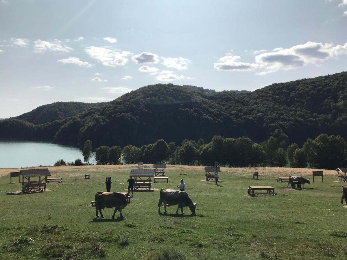 Casutele Doftanei Apartment Tesila Bagian luar foto