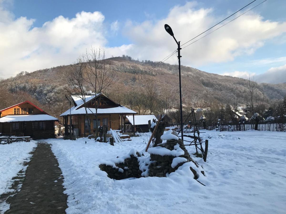 Casutele Doftanei Apartment Tesila Bagian luar foto