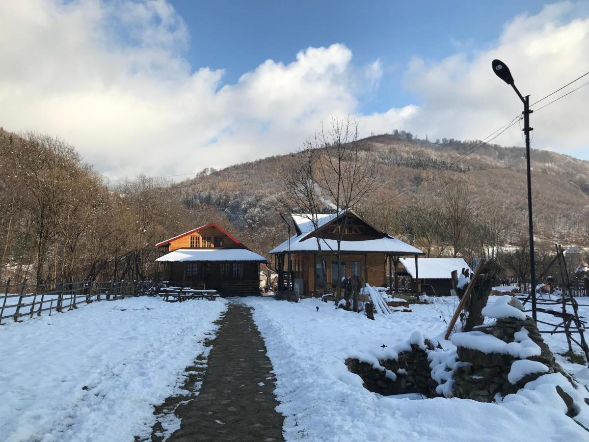 Casutele Doftanei Apartment Tesila Bagian luar foto