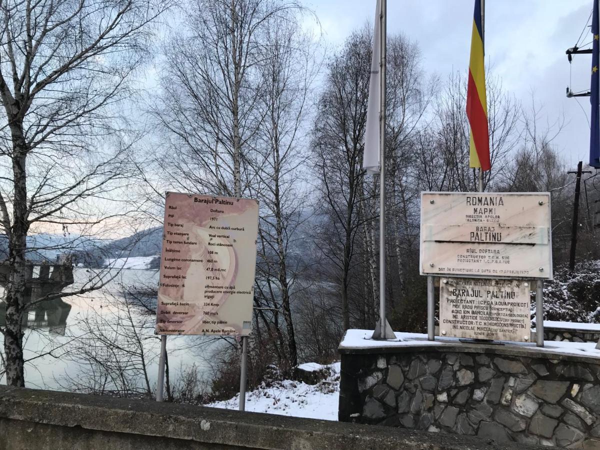 Casutele Doftanei Apartment Tesila Bagian luar foto