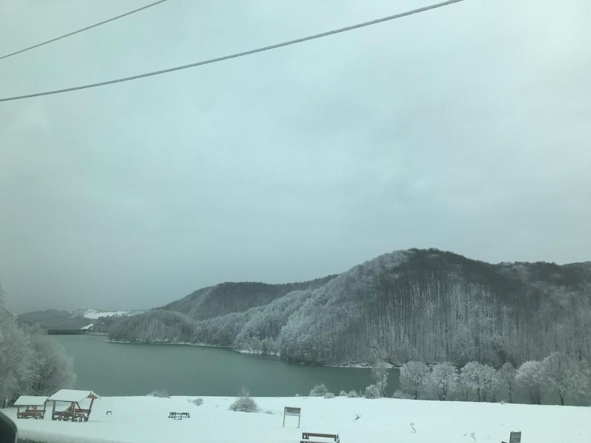 Casutele Doftanei Apartment Tesila Bagian luar foto